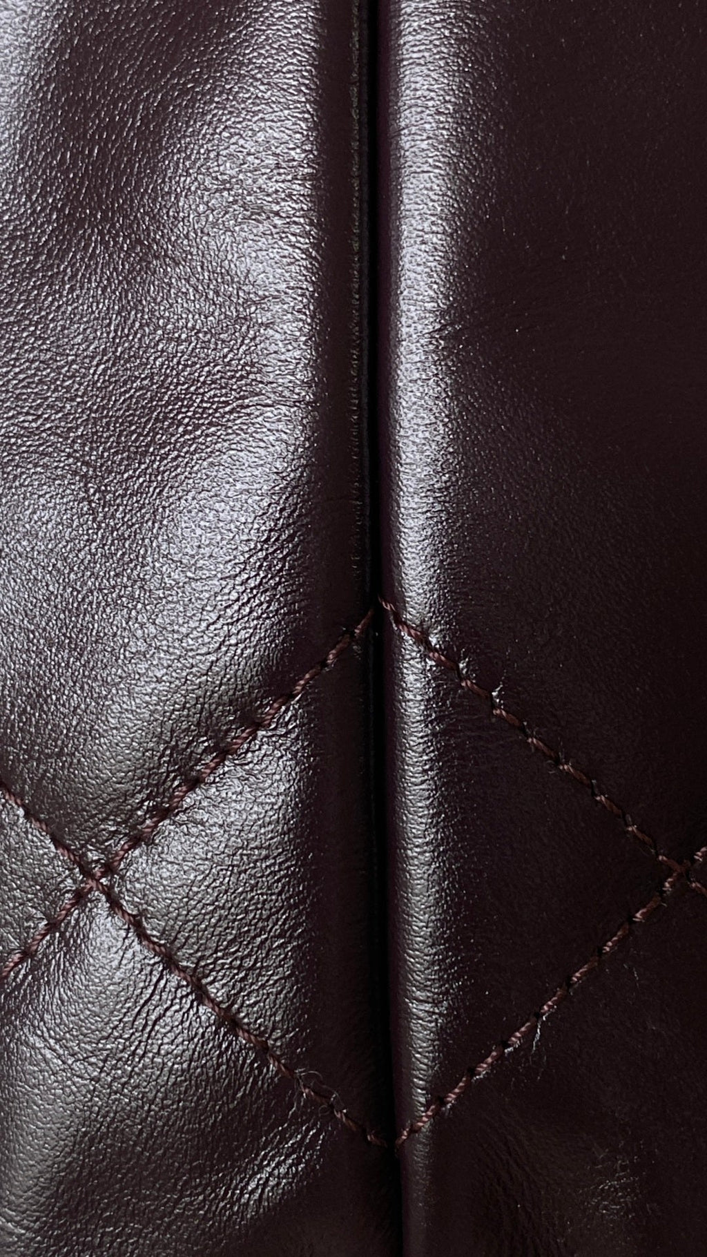 CC 24A Mini Hobo Bag 20cm Molten Dark Chocolate and Burgundy Lambskin SHW